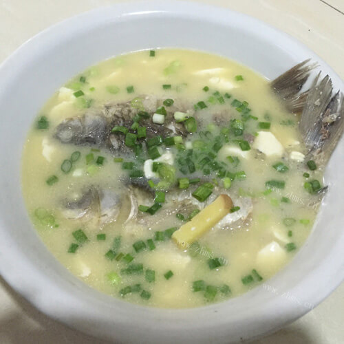 奶白鲫鱼汤