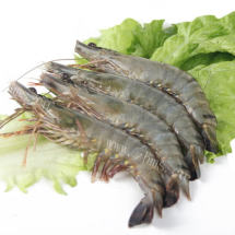 草虾