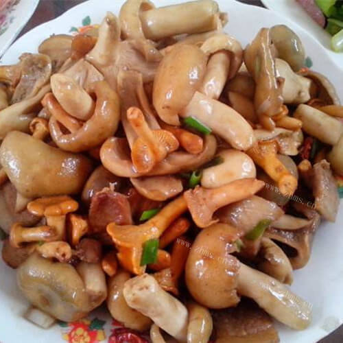 双笋辣炒草菇