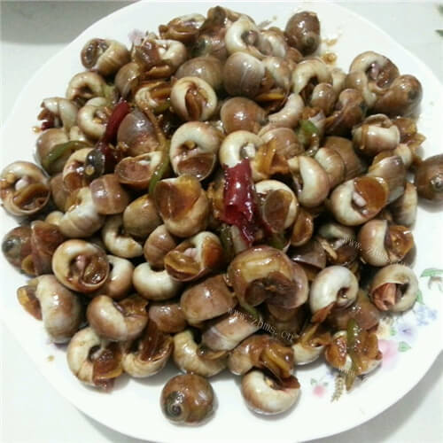 酱爆香螺