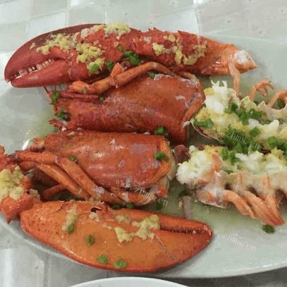 清蒸波士顿大龙虾 