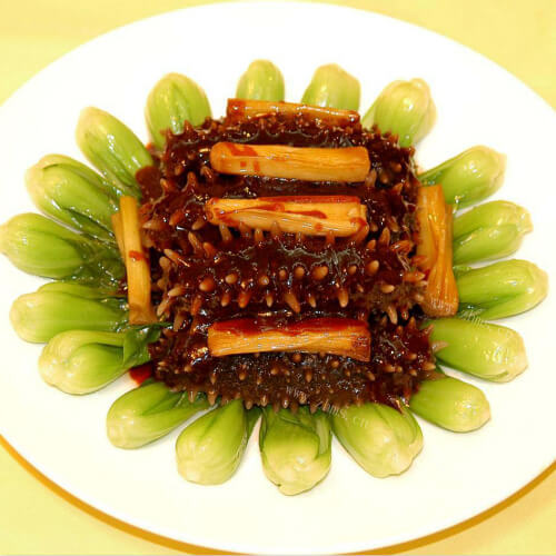 大葱炒海参