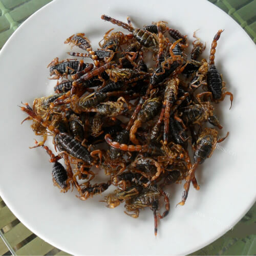 炸蝎子