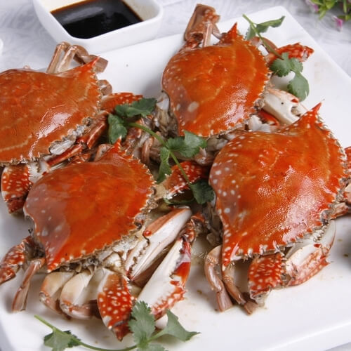 金汤帝王蟹