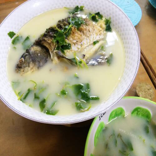 鱼腥草鲫鱼汤