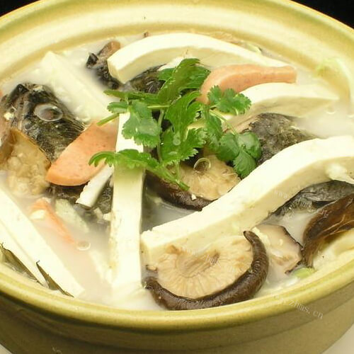 黑鱼炖豆腐