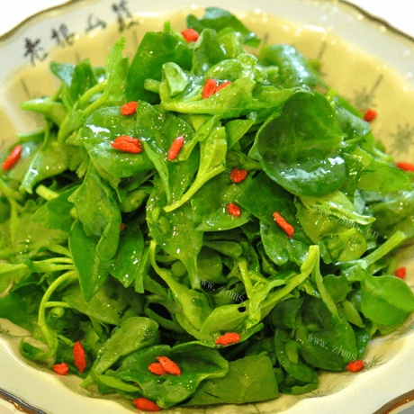好吃的凉拌穿心莲