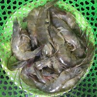 唇齿留香的海鲜百叶包做法图解8)