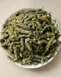 好吃的蒸构树穗做法图解4)