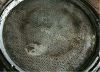胡萝卜土豆饼做法图解4)