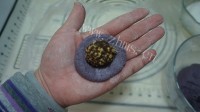 美味的猴头汤圆做法图解14)