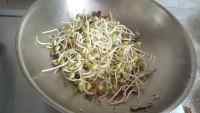 家常菜黄豆芽炖粉条做法图解6)