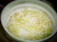 美味的韭菜炒绿豆芽做法图解1)