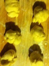 诱人的肉松小餐包做法图解7)