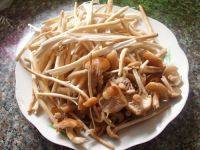 家常菜清炒茶树菇做法图解2)
