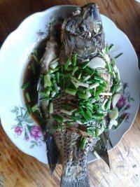 家常菜蒸罗非鱼