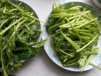 家常菜蒜香茼蒿做法图解3)