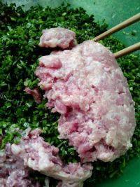 美味可口的韭菜猪肉饺子做法图解2)