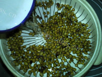 营养的芽嘴儿豆浆做法图解3)