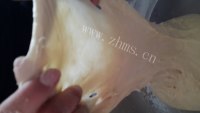自制老面包做法图解4)