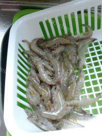 味道不错的香辣虾做法图解1)