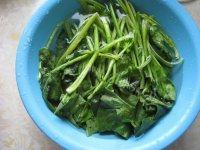 妈妈教我做凉拌菠菜做法图解1)