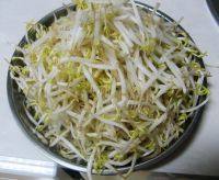 家常菜炒绿豆芽做法图解1)