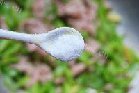 家常菜芦笋炒肉片