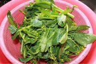 家常菜素炒菜心做法图解1)