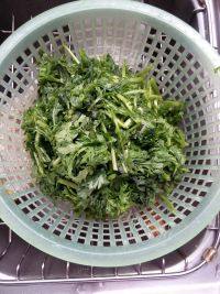 家常菜清炒茼蒿做法图解1)