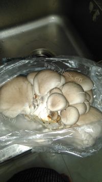 超级好吃的炸蘑菇做法图解1)