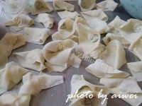 美味的荠菜馄饨做法图解10)