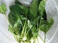 色味俱全的西红柿鸡蛋菠菜面做法图解1)