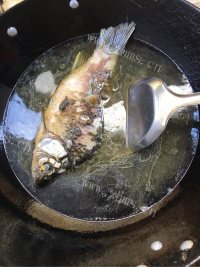珍馐美味的鲫鱼豆腐汤做法图解4)