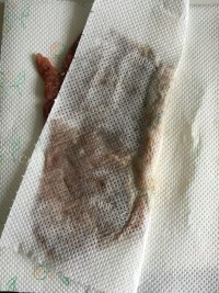 好吃的托斯卡纳牛排做法图解4)