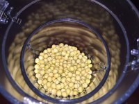 营养的黄豆粉的做法图解五