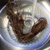 甘甜鸡骨草汤做法图解1)