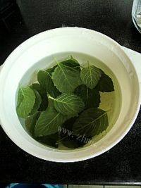 自己做的薄荷鸡蛋饼做法图解1)