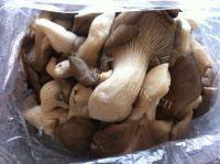 自制鸡腿菇炒肉做法图解1)