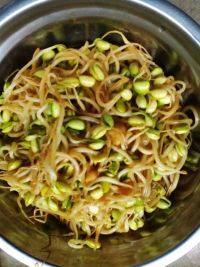 家常菜素炒豆芽