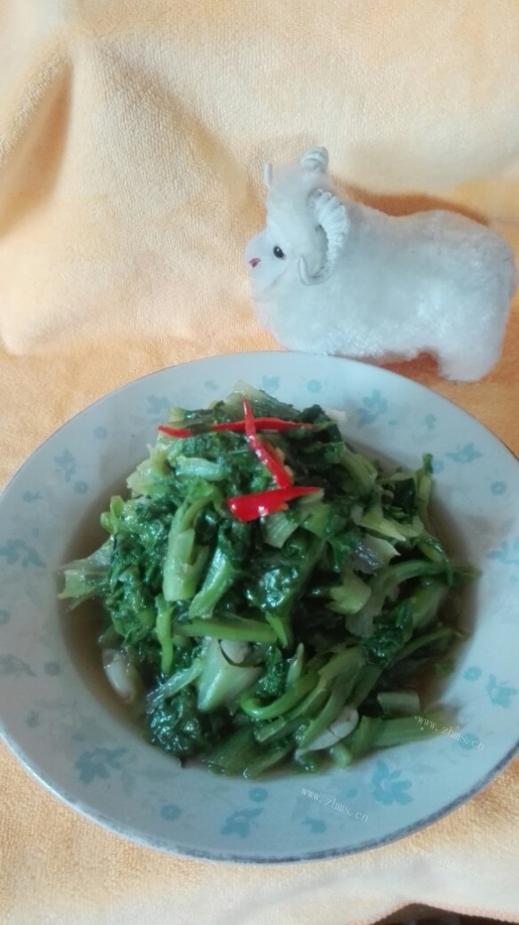香气浓郁的蚝油生菜