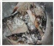红烧青鱼做法图解3)