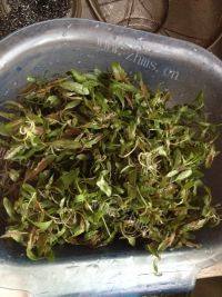 自己做的荠菜鲜肉馄饨做法图解2)