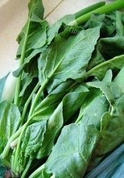 家常菜麻酱粉丝菠菜做法图解1)