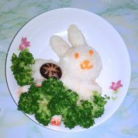自制小兔子创意饭团做法图解11)