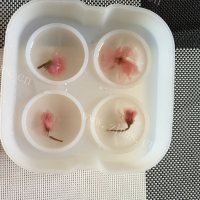 樱花水信玄饼做法图解6)