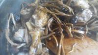 美味的茶树菇豆皮焖鸭做法图解7)