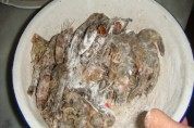美味的干炸大虾做法图解2)