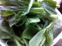 唇齿留香的蚝油菜心做法图解1)