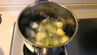 简单版红烧茄子做法图解5)